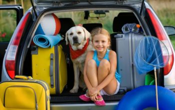 Going on a Vacation Without Your Dog?